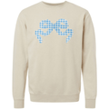 'Blue Gingham' Appliqué Stitch Cozy Crew